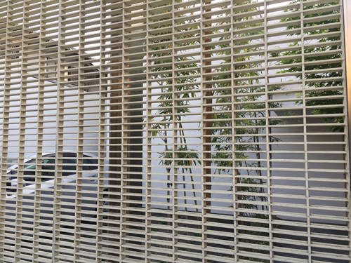 對話佐佐木葉二大師：展現看不見的自然