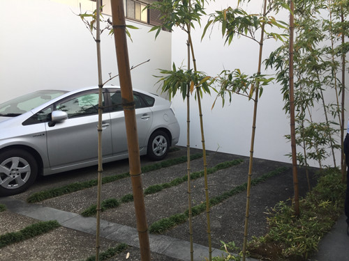 對話佐佐木葉二大師：展現看不見的自然