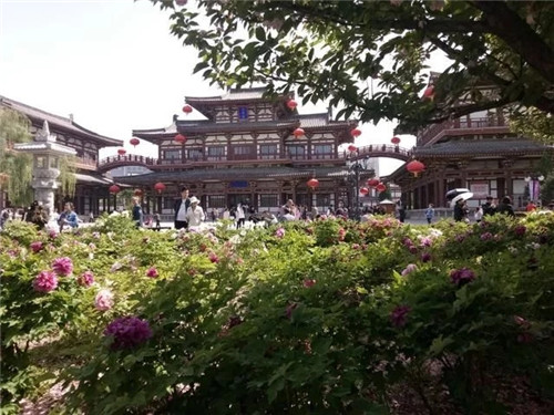 最受日本人喜愛的景區(qū),就在西安的東郊