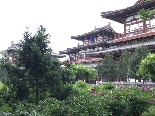 最受日本人喜愛的景區(qū),就在西安的東郊