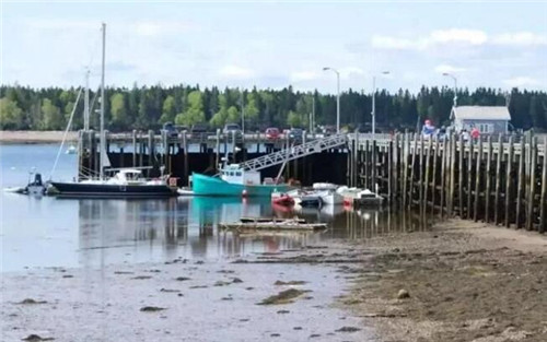 圣安德魯斯——北美最美的海邊小鎮