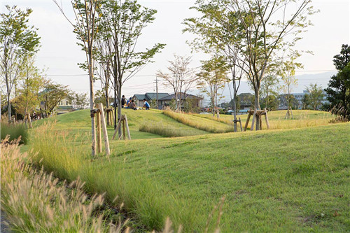 日本代市互助保險公司辦公環境景觀設計