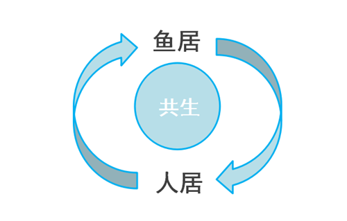 楊念東：武昌魚的回家之路