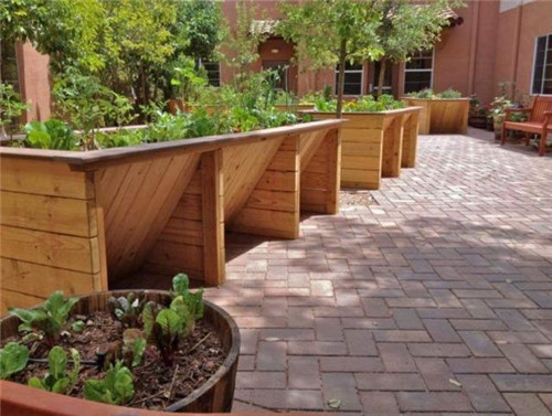 康復(fù)花園設(shè)計(jì)成功的關(guān)鍵