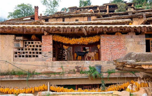 中國最有趣的村莊，鄰里之間串門都是走房頂
