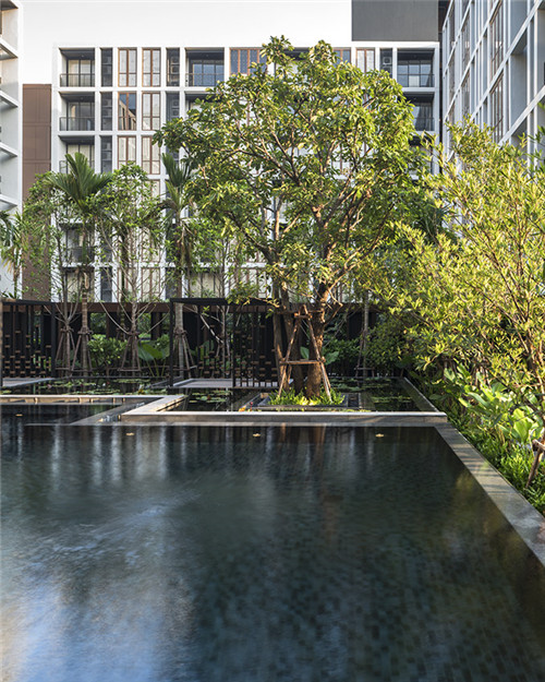 Shma設(shè)計事務(wù)所作品:哈蘇豪斯公寓景觀