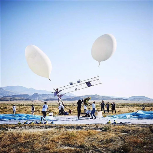 日本人對于瀕危植物的關注度遠高于櫻花