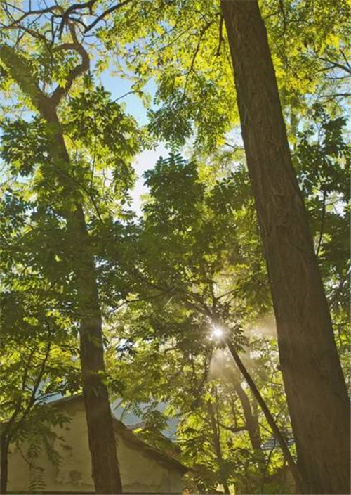 尋常農民房經過改造變身迷人的民宿老宅