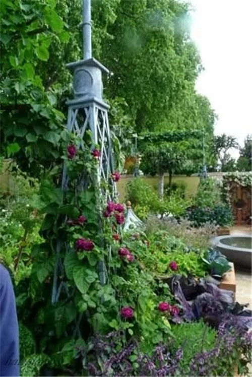 有意境的“花園設計”,讓人醉