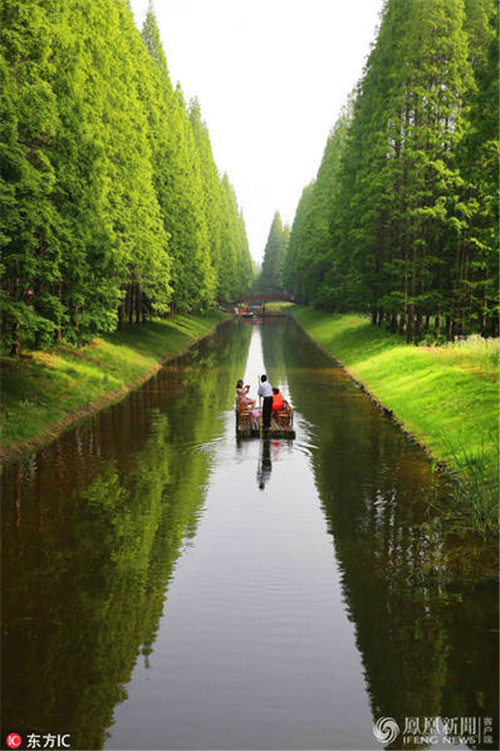 航拍江蘇黃海國家森林公園