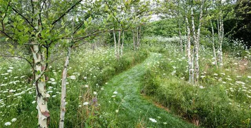 住宅水景景觀，充滿活力！美不勝收！