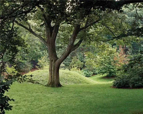 住宅水景景觀，充滿活力！美不勝收！