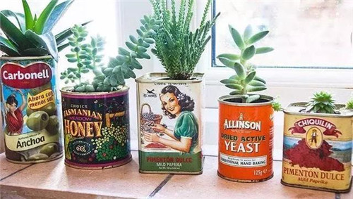 誰(shuí)說(shuō)養(yǎng)花插花一定得用花瓶?