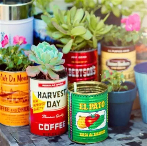 誰(shuí)說(shuō)養(yǎng)花插花一定得用花瓶?