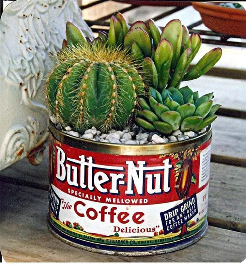 誰(shuí)說(shuō)養(yǎng)花插花一定得用花瓶?