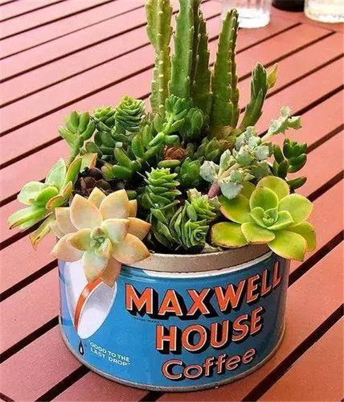 誰(shuí)說(shuō)養(yǎng)花插花一定得用花瓶?