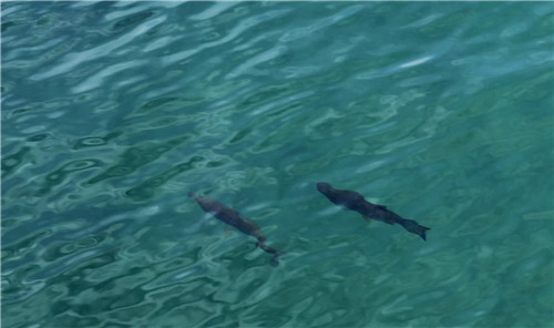 “十六湖國家公園”撫慰人內(nèi)心的是純粹自然