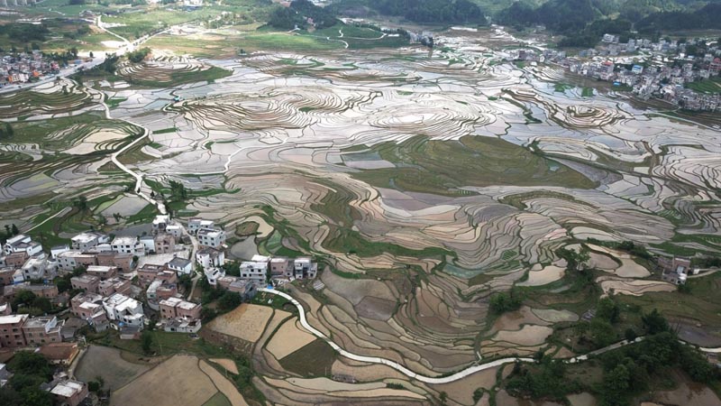 廣西南丹：巴平梯田美如畫