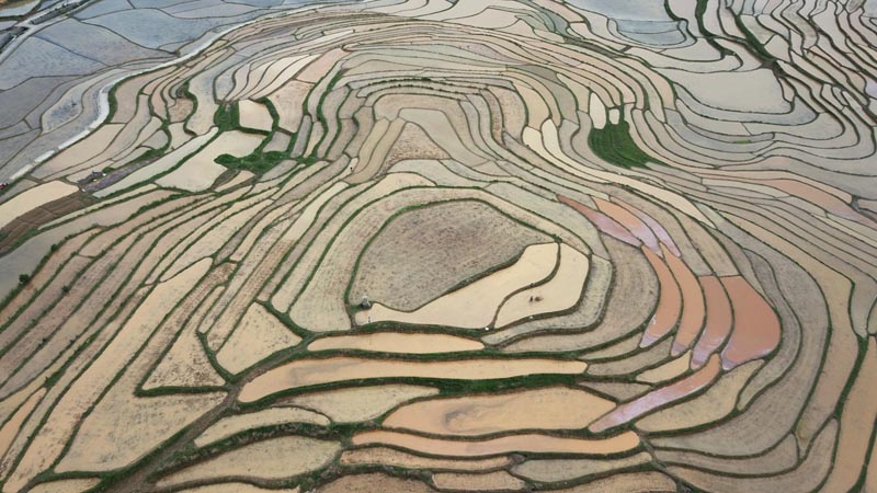 廣西南丹：巴平梯田美如畫