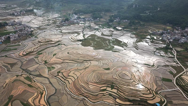 廣西南丹：巴平梯田美如畫