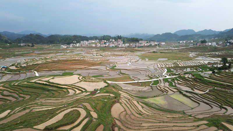 廣西南丹：巴平梯田美如畫