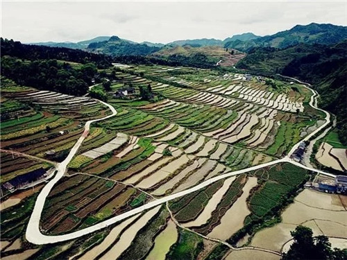 酉陽龍甲梯田：繪出醉美的大地曲線