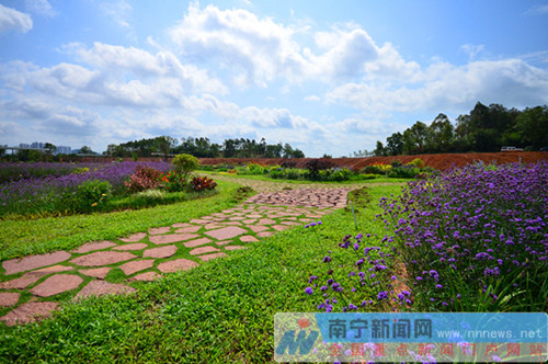 南寧園博園八大景觀 生態(tài)多樣富有自然野趣