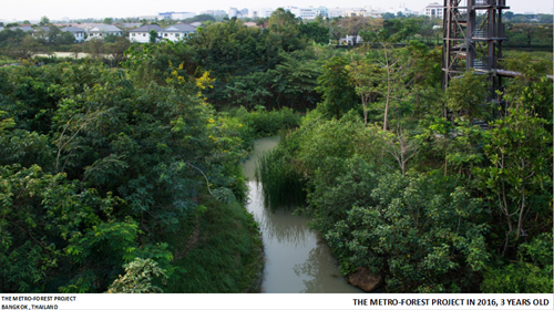 Tawatchai Kobkaikit：永不結束的景觀
