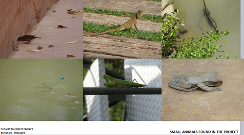 Tawatchai Kobkaikit：永不結束的景觀