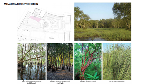 Tawatchai Kobkaikit：永不結束的景觀