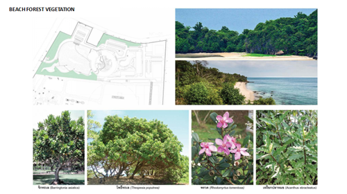 Tawatchai Kobkaikit：永不結束的景觀