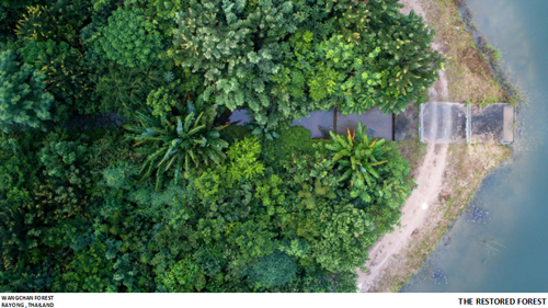 Tawatchai Kobkaikit：永不結束的景觀