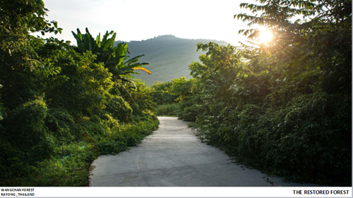 Tawatchai Kobkaikit：永不結束的景觀