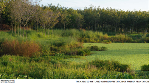Tawatchai Kobkaikit：永不結束的景觀
