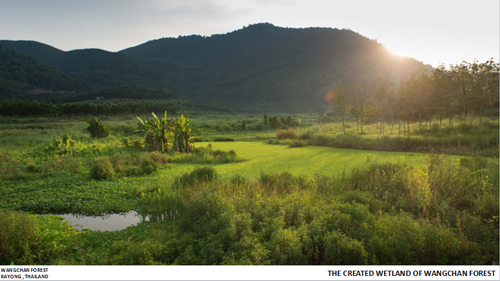 Tawatchai Kobkaikit：永不結束的景觀