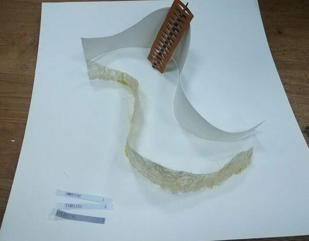 羅青:創造有情感意義的空間序列