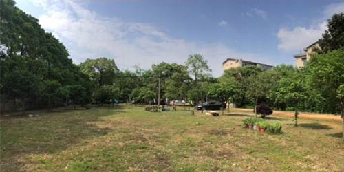 周晨：聯(lián)結(jié)——面向生態(tài)文明的風(fēng)景園林教育實踐