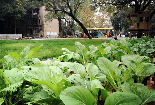 周晨：聯(lián)結(jié)——面向生態(tài)文明的風(fēng)景園林教育實踐