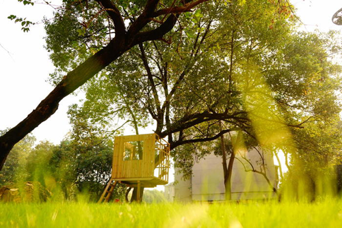 周晨：聯(lián)結(jié)——面向生態(tài)文明的風(fēng)景園林教育實踐