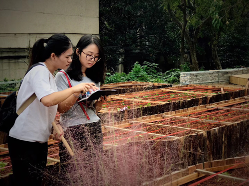 周晨：聯(lián)結(jié)——面向生態(tài)文明的風(fēng)景園林教育實踐