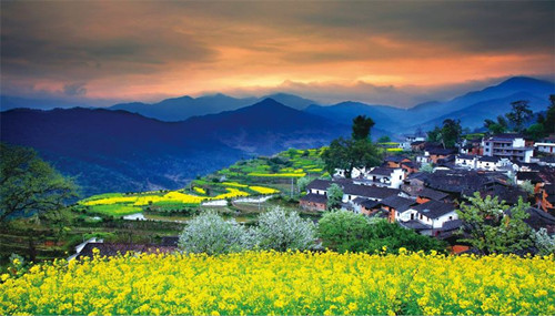 笛東：依托全域旅游的視角引導鄉村振興