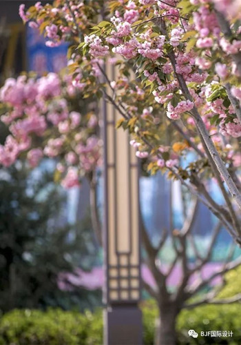 【理事專欄】BJF(寶佳豐)作品:中昂安納西小鎮