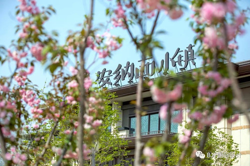 【理事專欄】BJF(寶佳豐)作品:中昂安納西小鎮