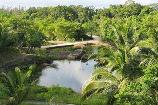 研究發(fā)現(xiàn)地球總質(zhì)量植物最高,人類比重極低