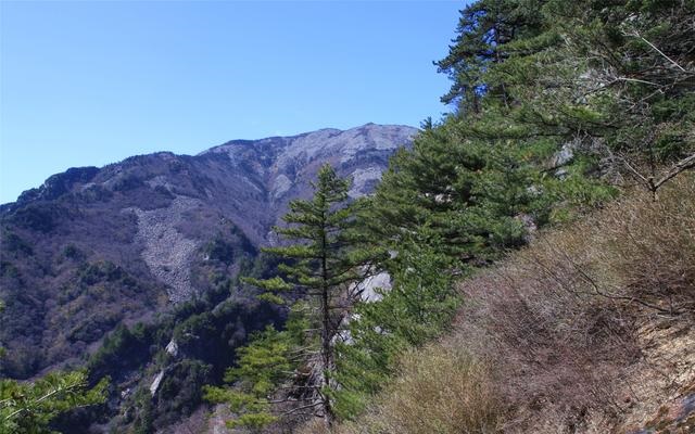 陜西朱雀國家森林公園攝影作品欣賞
