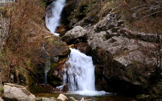 陜西朱雀國家森林公園攝影作品欣賞