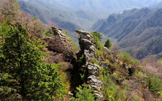 陜西朱雀國家森林公園攝影作品欣賞