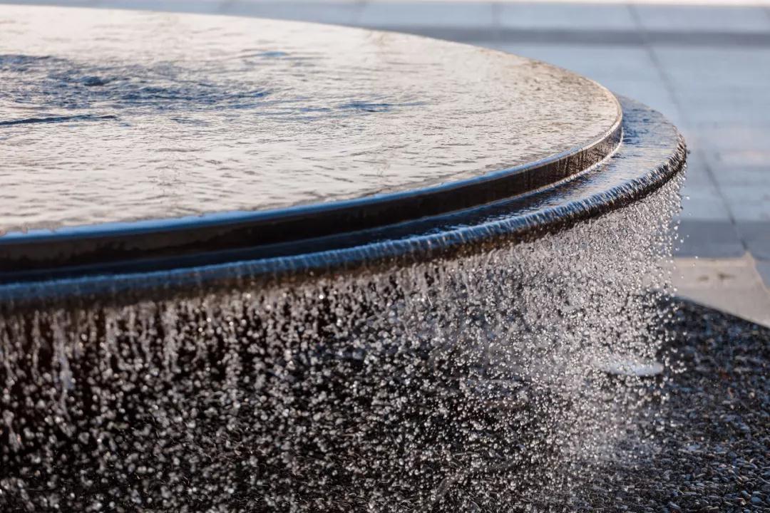 有的魚是永遠都關(guān)不住的 | 公元2040