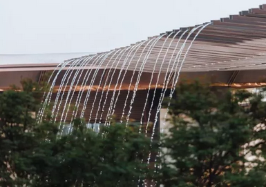 有的魚是永遠都關(guān)不住的 | 公元2040