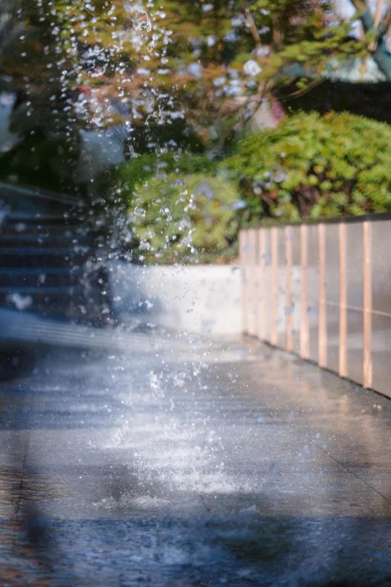 有的魚是永遠都關(guān)不住的 | 公元2040